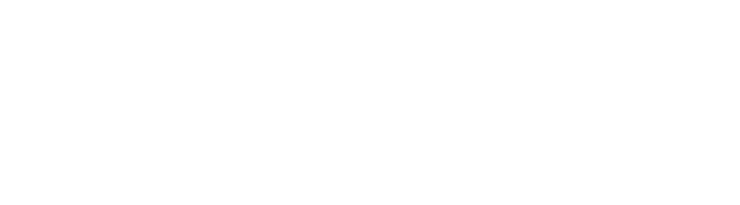 Koka Noodles